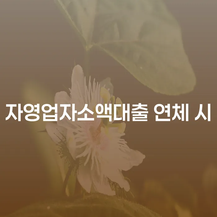 개인회생과정 개인회생,개인파산으로 미리알기