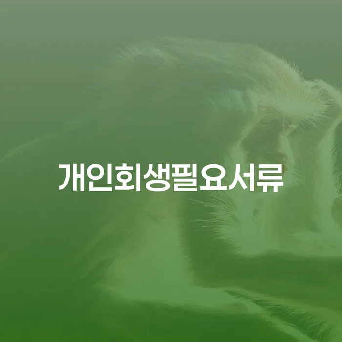 개인회생신청자격 신용회복 잘하는 법무법인