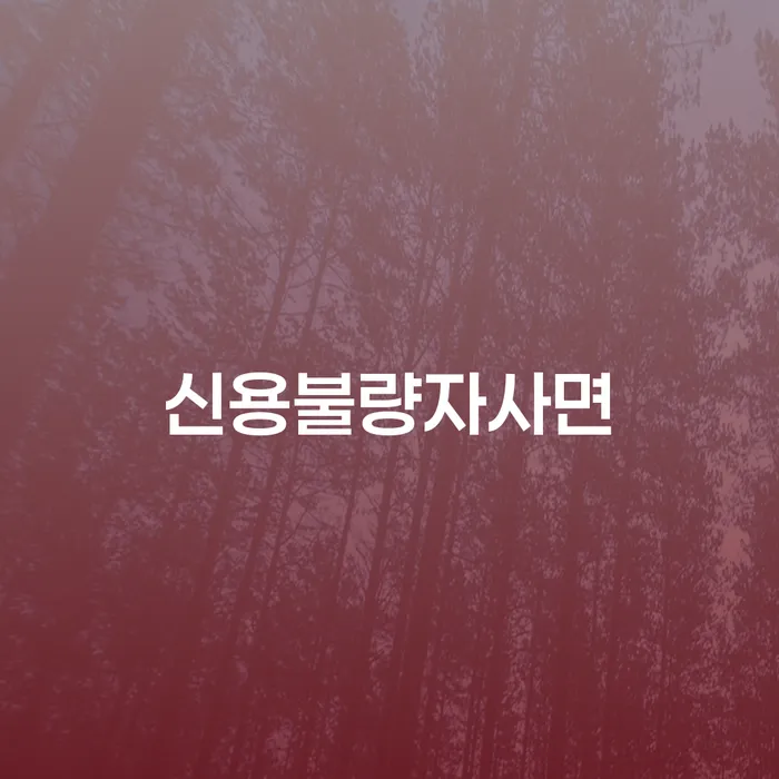 구리시 개인회생 개인파산 성공은