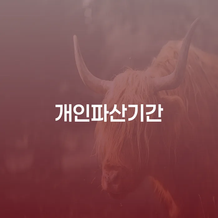 보은군 회생 개인회생으로 해결방법 지식을