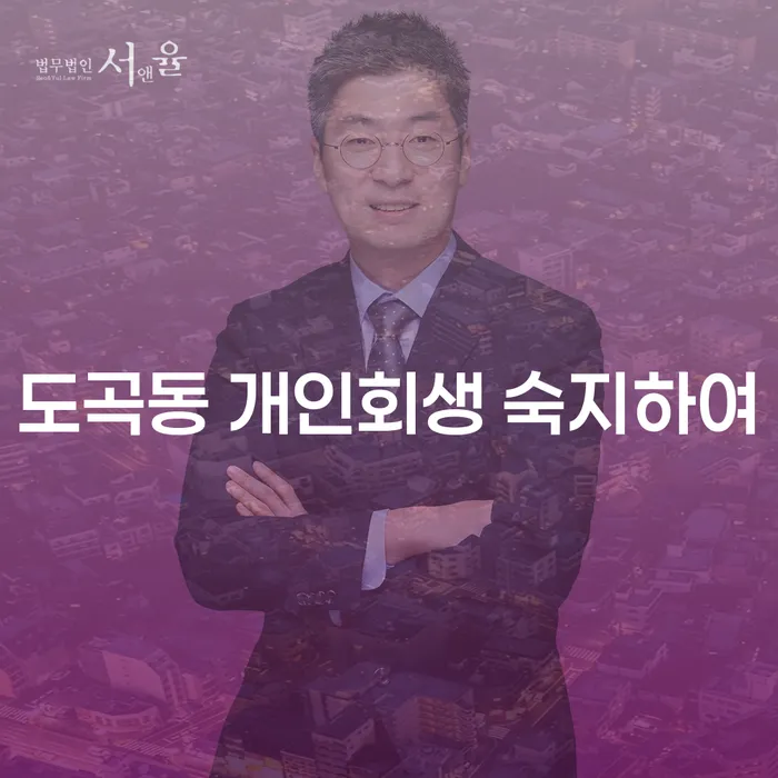 도곡동 개인회생 숙지하여