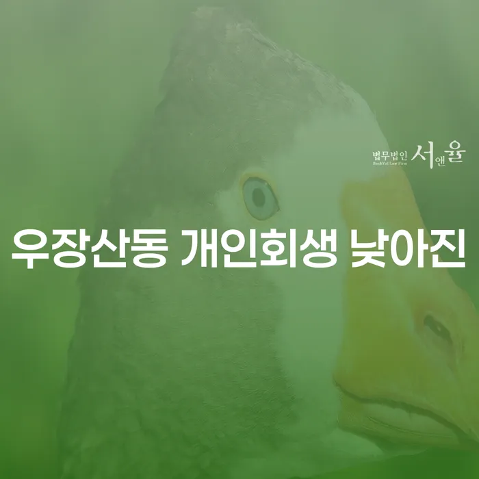 우장산동 개인회생 낮아진