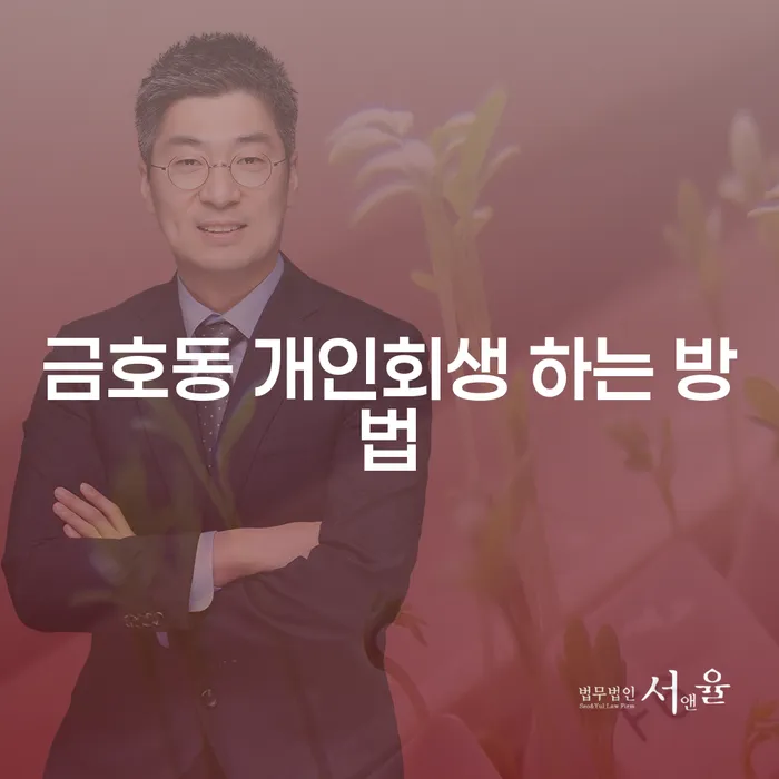금호동 개인회생 어떻게 해야 할까요?