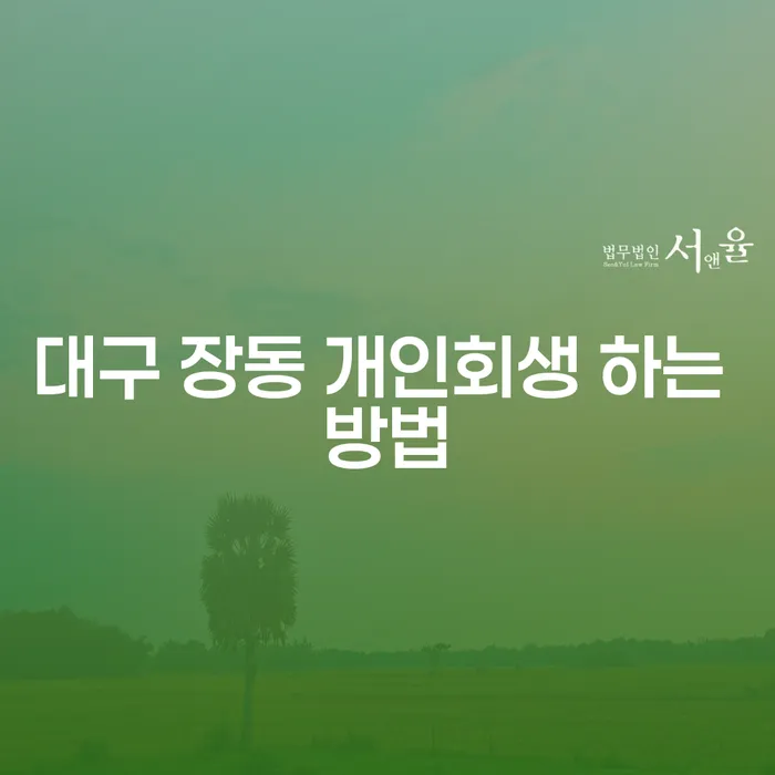 대구 장동 개인회생 하는 방법은 무엇인가요?