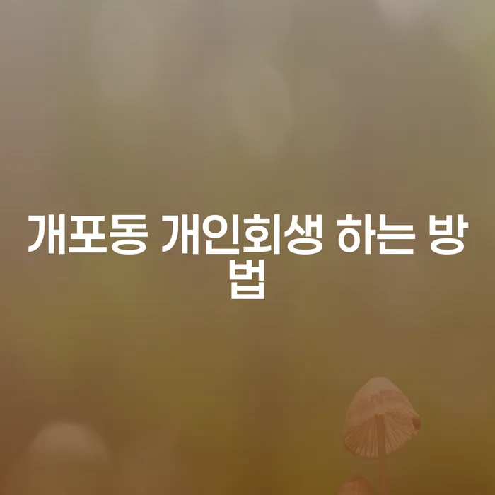 개포동에서 개인회생을 시작하려면 어떻게 해야 할까요?