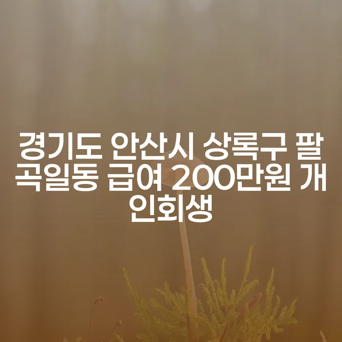 경기도 안산시 상록구 팔곡일동에서 급여 200만원으로 개인회생을 할 수 있을까?