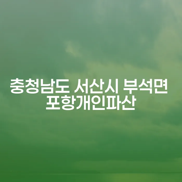 충청남도 서산시 부석면에서 개인파산과 개인회생면책을 신청하는 방법은?
