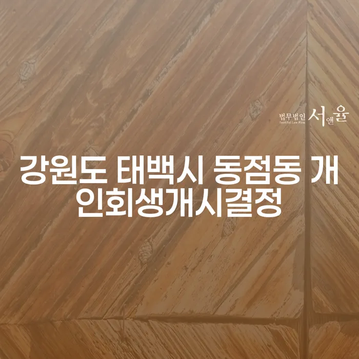 강원도 태백시 동점동에서 개인회생개시결정을 어떻게 준비해야 할까요?