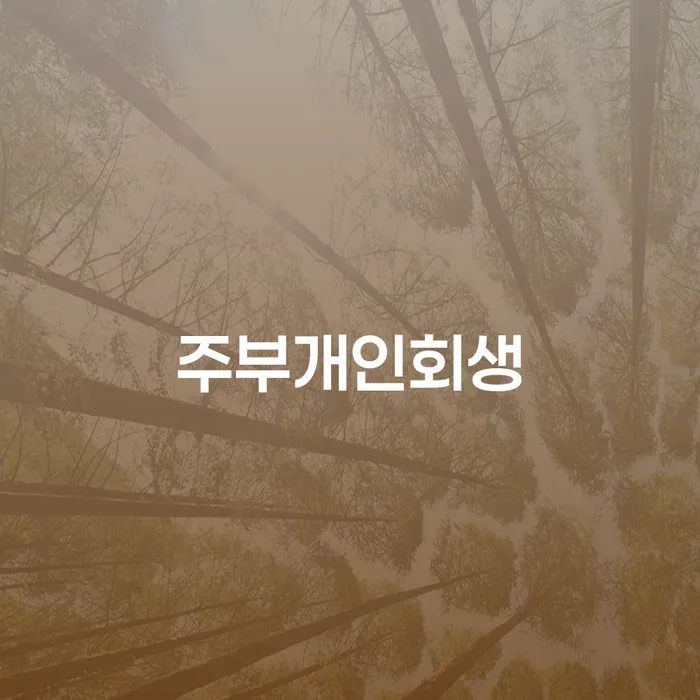 주부 개인회생, 당신도 가능한가요?